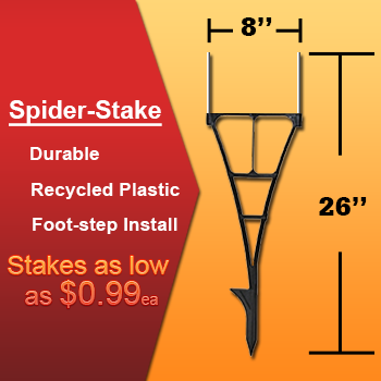 spider stake frame